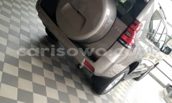 Buy Used Toyota Prado Silver Car in Cotonou in Benign