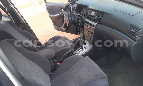 Acheter Occasion Voiture Toyota Corolla Gris à Cotonou, Benin Acheter Occasion Voiture Toyota Corolla Gris à Cotonou, Benin