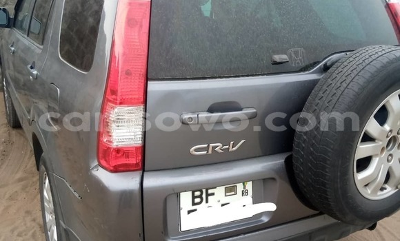 Ra Àlòkù Honda CR–V Brown Ọkọ̀ in Cotonou ni Benin
