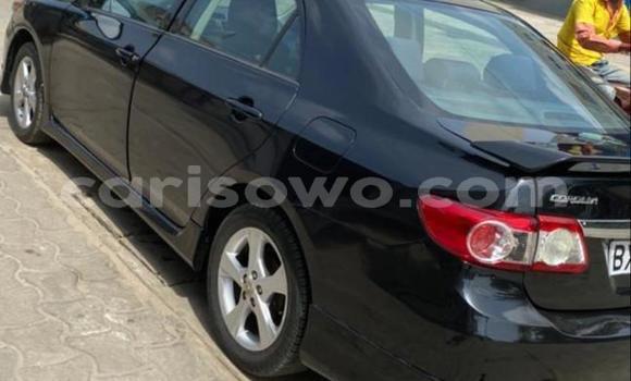Acheter Neuf Voiture Toyota Corolla Noir à Cotonou, Benin Acheter Neuf Voiture Toyota Corolla Noir à Cotonou, Benin