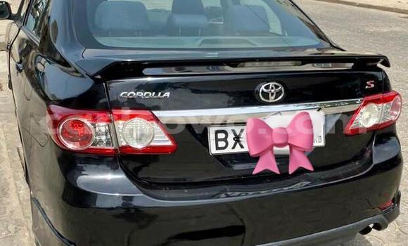 Acheter Neuf Voiture Toyota Corolla Noir à Cotonou, Benin Acheter Neuf Voiture Toyota Corolla Noir à Cotonou, Benin