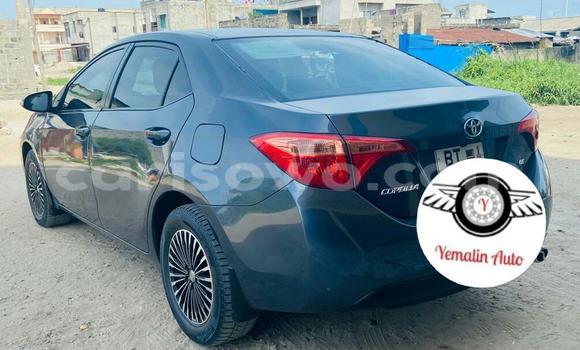 Acheter Occasion Voiture Toyota Corolla Bleu à Cotonou, Benin Acheter Occasion Voiture Toyota Corolla Bleu à Cotonou, Benin