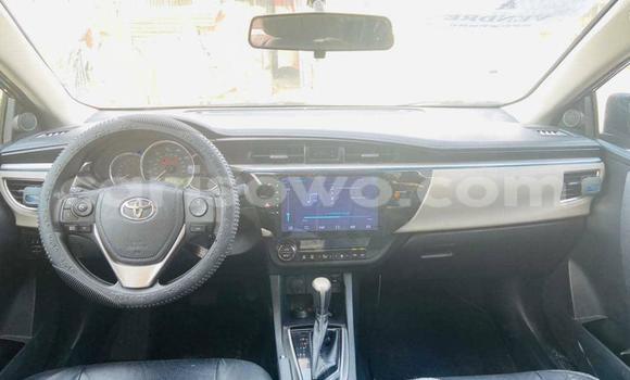 Acheter Occasion Voiture Toyota Corolla Bleu à Cotonou, Benin Acheter Occasion Voiture Toyota Corolla Bleu à Cotonou, Benin