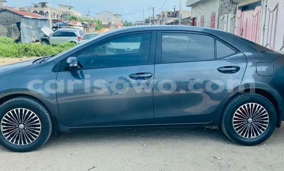 Acheter Occasion Voiture Toyota Corolla Bleu à Cotonou, Benin Acheter Occasion Voiture Toyota Corolla Bleu à Cotonou, Benin