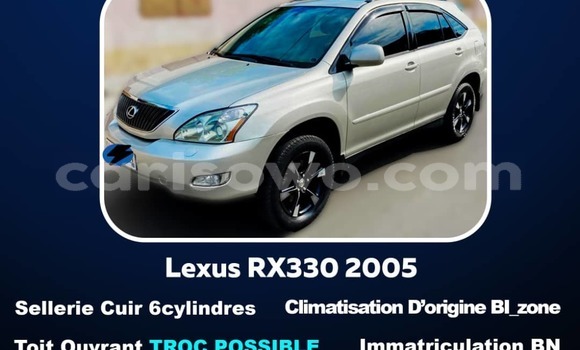 Buy Used Lexus RX 330 Silver Car in Cotonou in Benign