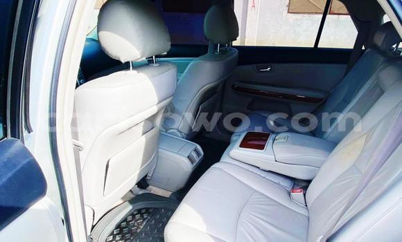 Buy Used Lexus RX 330 Silver Car in Cotonou in Benign Buy Used Lexus RX 330 Silver Car in Cotonou in Benign