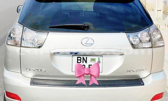 Buy Used Lexus RX 330 Silver Car in Cotonou in Benign Buy Used Lexus RX 330 Silver Car in Cotonou in Benign