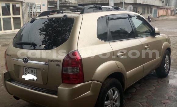 Acheter Occasion Voiture Hyundai Tucson Beige à Cotonou, Benin