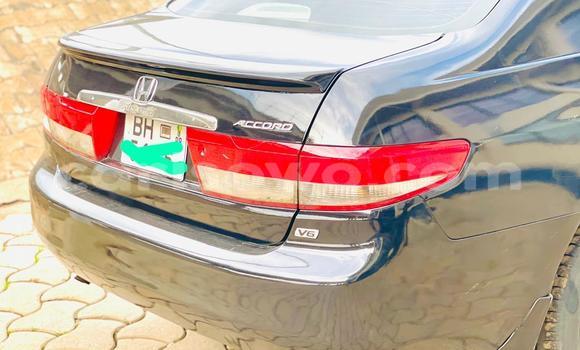 Acheter Occasion Voiture Honda Accord Marron à Cotonou, Benin Acheter Occasion Voiture Honda Accord Marron à Cotonou, Benin