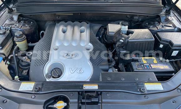 Buy New Hyundai Santa Fe Black Car in Cotonou in Benign Buy New Hyundai Santa Fe Black Car in Cotonou in Benign