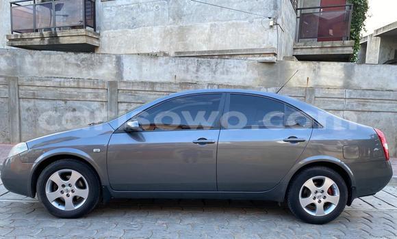 Ra Tuntun Nissan Primera Black Ọkọ̀ in Cotonou ni Benin Ra Tuntun Nissan Primera Black Ọkọ̀ in Cotonou ni Benin