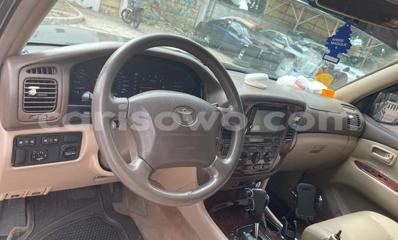 Buy Used Toyota Land Cruiser Beige Car in Cotonou in Benign Buy Used Toyota Land Cruiser Beige Car in Cotonou in Benign