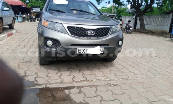 Buy New Kia Sorento Silver Car in Cotonou in Benign