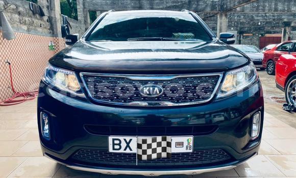Acheter Neuf Voiture Kia Sorento Noir à Cotonou, Benin