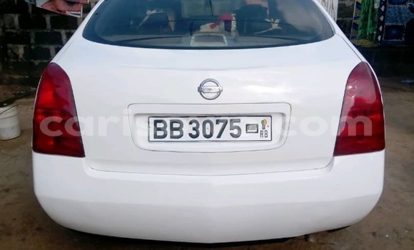 Acheter Occasion Voiture Nissan Primera Autre à Cotonou, Benin Acheter Occasion Voiture Nissan Primera Autre à Cotonou, Benin