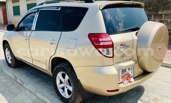 Buy Used Toyota RAV4 Other Car in Cotonou in Benign Buy Used Toyota RAV4 Other Car in Cotonou in Benign