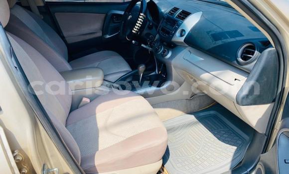 Buy Used Toyota RAV4 Other Car in Cotonou in Benign Buy Used Toyota RAV4 Other Car in Cotonou in Benign