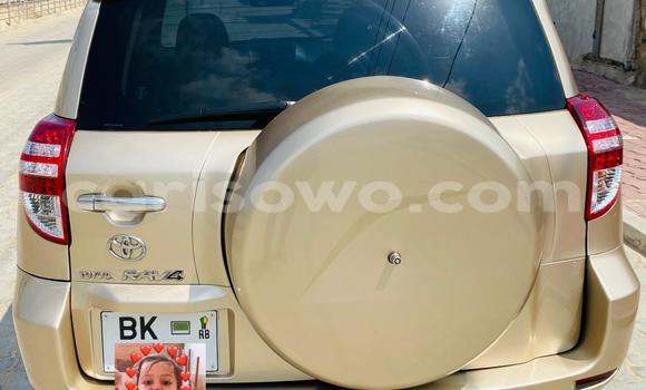 Buy Used Toyota RAV4 Other Car in Cotonou in Benign Buy Used Toyota RAV4 Other Car in Cotonou in Benign