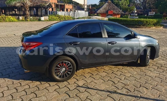 Ra Tuntun Toyota Corolla Black Ọkọ̀ in Cotonou ni Benin Ra Tuntun Toyota Corolla Black Ọkọ̀ in Cotonou ni Benin