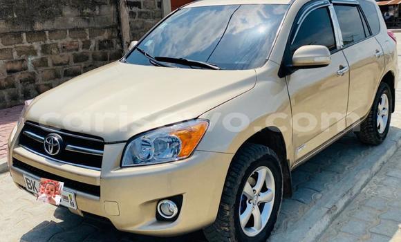 Buy Used Toyota RAV4 Other Car in Cotonou in Benign