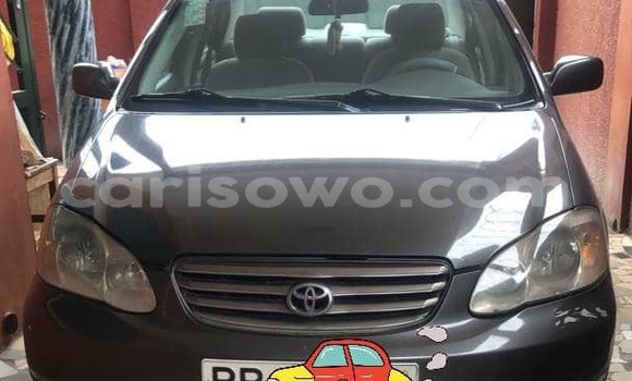 Acheter Occasion Voiture Toyota Corolla Gris à Cotonou, Benin Acheter Occasion Voiture Toyota Corolla Gris à Cotonou, Benin