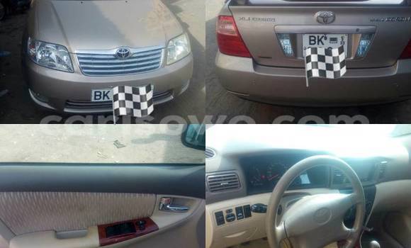 Acheter Occasion Voiture Toyota Corolla Marron à Savalou au Benin Acheter Occasion Voiture Toyota Corolla Marron à Savalou au Benin