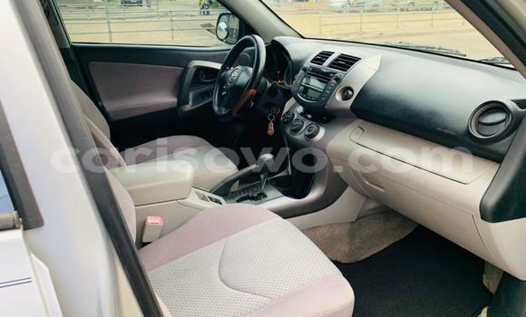 Buy Used Toyota RAV4 Silver Car in Abomey Calavi in Benign Buy Used Toyota RAV4 Silver Car in Abomey Calavi in Benign