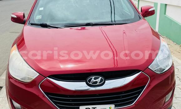 Acheter Occasion Voiture Hyundai Tucson Rouge à Cotonou, Benin Acheter Occasion Voiture Hyundai Tucson Rouge à Cotonou, Benin