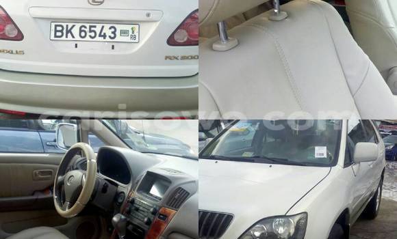 Acheter Occasion Voiture Lexus RX 300 Blanc à Savalou, Benin Acheter Occasion Voiture Lexus RX 300 Blanc à Savalou, Benin