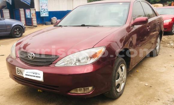 Buy Used Toyota Camry Red Car in Abomey Calavi in Benign Buy Used Toyota Camry Red Car in Abomey Calavi in Benign