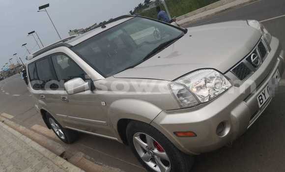 Acheter Occasion Voiture Nissan X–Trail Gris à Cotonou, Benin Acheter Occasion Voiture Nissan X–Trail Gris à Cotonou, Benin