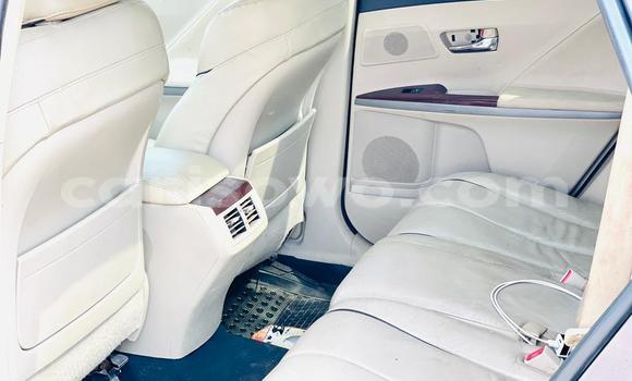 Acheter Occasion Voiture Toyota Venza Gris à Abomey Calavi, Benin Acheter Occasion Voiture Toyota Venza Gris à Abomey Calavi, Benin