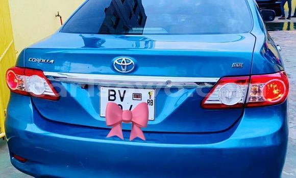 Acheter Occasion Voiture Toyota Corolla Bleu à Cotonou, Benin Acheter Occasion Voiture Toyota Corolla Bleu à Cotonou, Benin