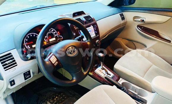 Acheter Occasion Voiture Toyota Corolla Bleu à Cotonou, Benin Acheter Occasion Voiture Toyota Corolla Bleu à Cotonou, Benin