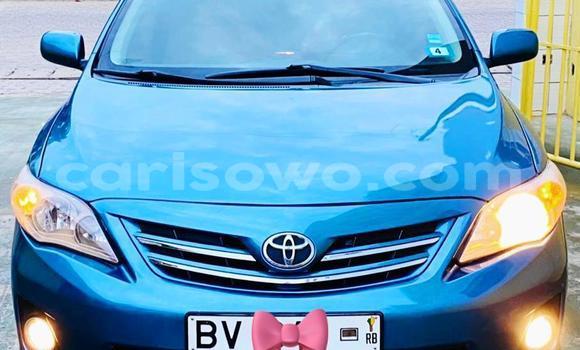 Acheter Occasion Voiture Toyota Corolla Bleu à Cotonou, Benin Acheter Occasion Voiture Toyota Corolla Bleu à Cotonou, Benin