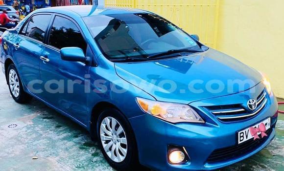 Acheter Occasion Voiture Toyota Corolla Bleu à Cotonou, Benin Acheter Occasion Voiture Toyota Corolla Bleu à Cotonou, Benin