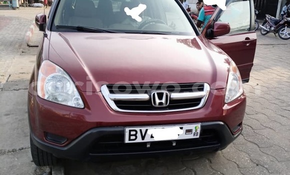 Buy Used Honda CR–V Red Car in Abomey Calavi in Benign