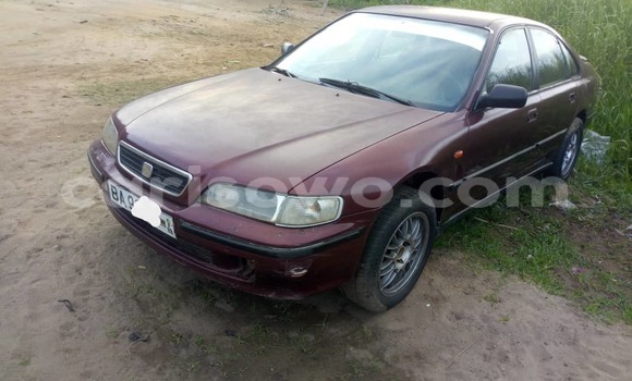 Acheter Occasion Voiture Honda Accord Rouge à Cotonou, Benin