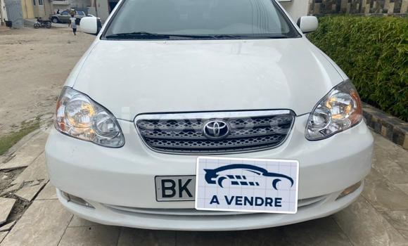 Sayi Na hannu Toyota Corolla White Mota in Abomey Calavi a Benin Sayi Na hannu Toyota Corolla White Mota in Abomey Calavi a Benin