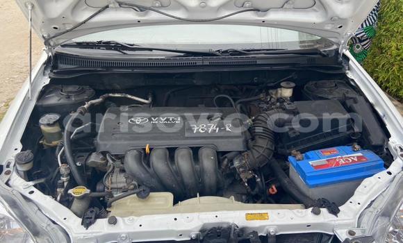 Sayi Na hannu Toyota Corolla White Mota in Abomey Calavi a Benin Sayi Na hannu Toyota Corolla White Mota in Abomey Calavi a Benin