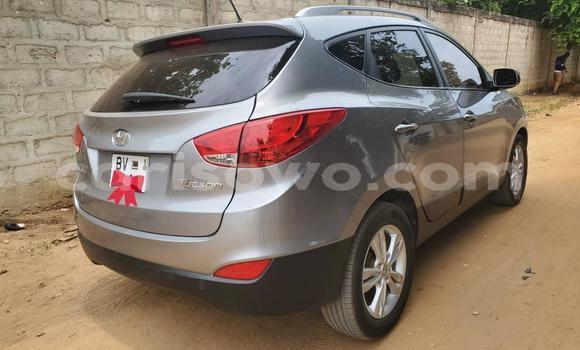 Buy Used Hyundai Tucson Silver Car in Cotonou in Benign Buy Used Hyundai Tucson Silver Car in Cotonou in Benign