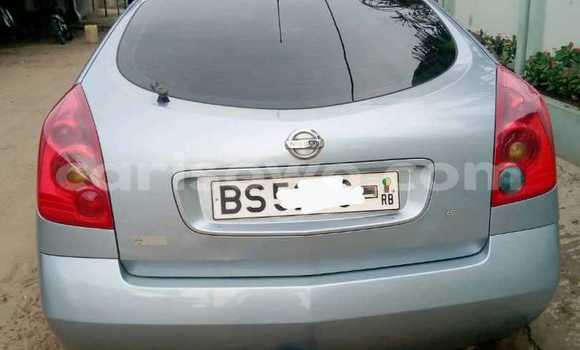 Buy Used Nissan Primera Blue Car in Cotonou in Benign