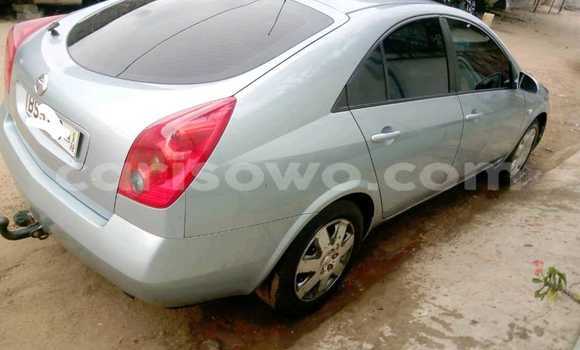 Sayi Na hannu Nissan Primera Blue Mota in Cotonou a Benin Sayi Na hannu Nissan Primera Blue Mota in Cotonou a Benin
