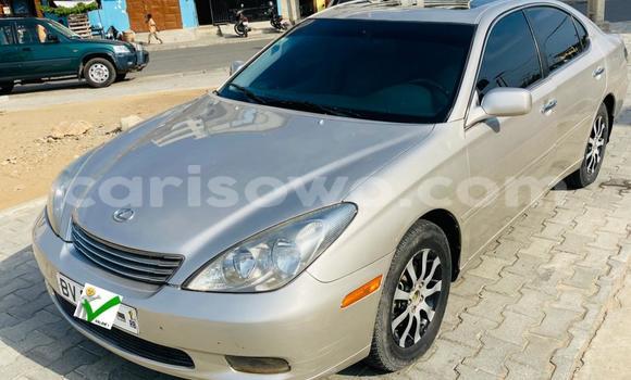 Acheter Occasion Voiture Lexus ES 300 Gris à Cotonou, Benin Acheter Occasion Voiture Lexus ES 300 Gris à Cotonou, Benin