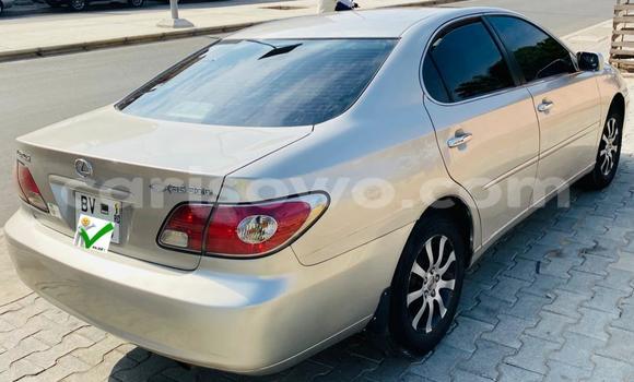 Acheter Occasion Voiture Lexus ES 300 Gris à Cotonou, Benin Acheter Occasion Voiture Lexus ES 300 Gris à Cotonou, Benin