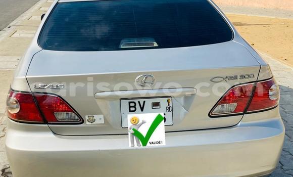 Acheter Occasion Voiture Lexus ES 300 Gris à Cotonou, Benin Acheter Occasion Voiture Lexus ES 300 Gris à Cotonou, Benin