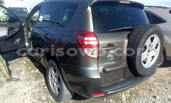 Buy Import Toyota RAV4 Brown Car in Cotonou in Benign
