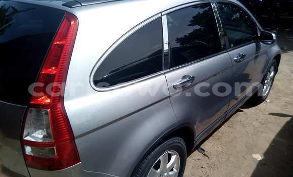 Acheter Occasion Voiture Honda Civic Gris à Cotonou, Benin Acheter Occasion Voiture Honda Civic Gris à Cotonou, Benin