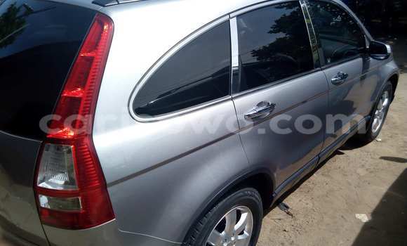 Acheter Occasion Voiture Honda Civic Gris à Cotonou, Benin Acheter Occasion Voiture Honda Civic Gris à Cotonou, Benin