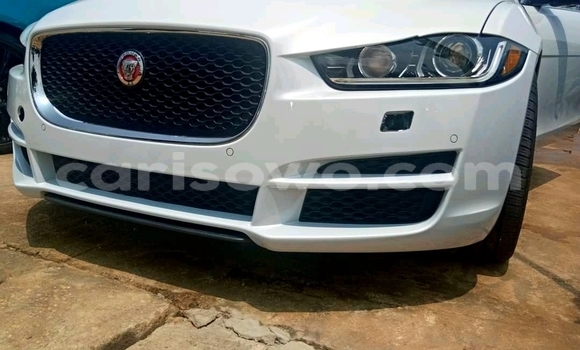 Ra Àlòkù Jaguar XE funfun Ọkọ̀ in Cotonou ni Benin Ra Àlòkù Jaguar XE funfun Ọkọ̀ in Cotonou ni Benin